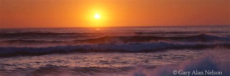 Sunset over the Pacific Ocean | | Gary Alan Nelson Photography