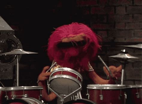 Muppet Show Muppets GIF - Muppet Show Muppets Animal - Discover & Share GIFs