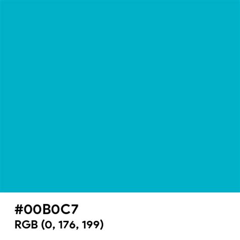 Turquoise Blue (Ferrario) color hex code is #00B0C7