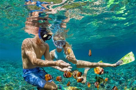 The Ultimate Guide to the Best Snorkeling Adventures in Kauai | Hawaii Life Vacations