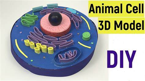 Animal Cell 3d