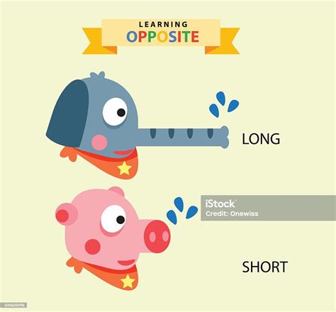 Long Vs Short Stock Illustration - Download Image Now - iStock