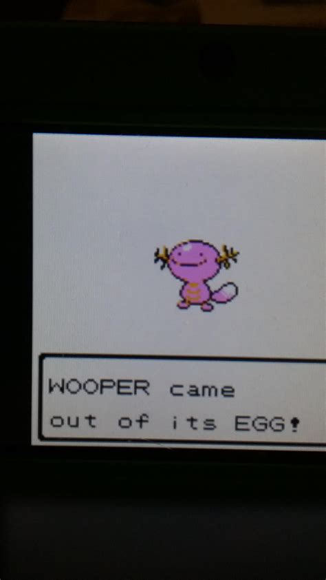 [2] Shiny Wooper : r/ShinyPokemon