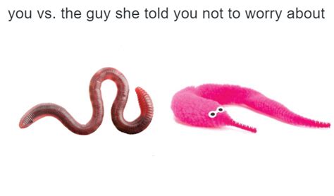 normal worm vs. worm on a string | Worm On A String | Know Your Meme