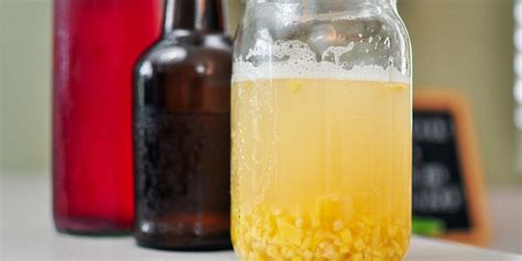 How to Make a Ginger Bug for Homemade Soda - The Fermentation Adventure