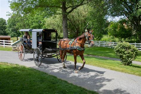 Differences Between Amish & Mennonite | Discover Lancaster