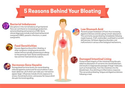 5 Reasons Behind Your Bloated Belly – Fact vs Fitness