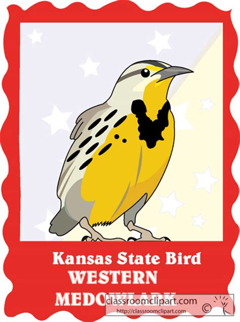 Clipart - kansas_state_bird_western_meadowlark - Classroom Clipart