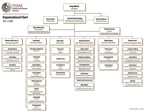 TXHHS Organizational Chart | Hogg Foundation for Mental Health