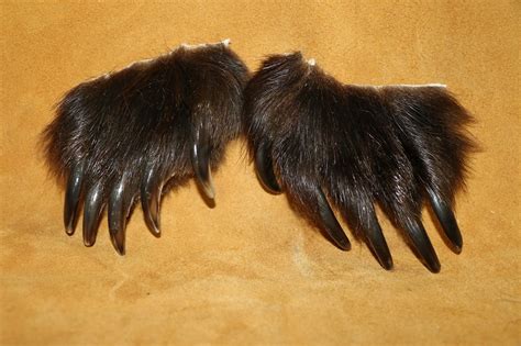 Grizzly Bear Claws – P&D International Furtraders