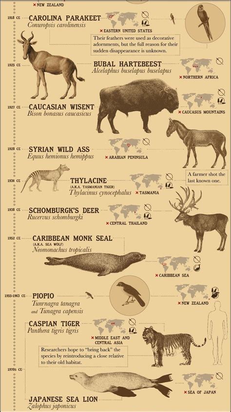 Recently Extinct Animals In The World