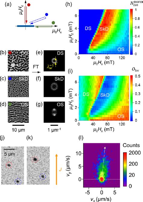 Various magnetic domain structures formed by external magnetic fields ...