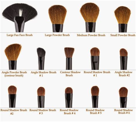 Eye Makeup Brushes Their Uses - Makeup Vidalondon