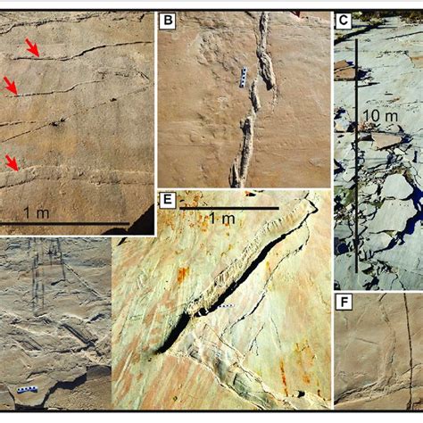 | Examples of monoclinal folds in an Ash Fork quarry. (A) Deformed... | Download Scientific Diagram