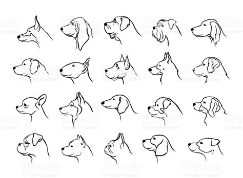 collection of dogs heads profile side view portraits silhouettes in ...