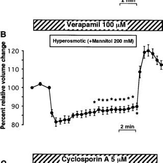 Effects of hyperosmotic mannitol solution on cell volume in isolated... | Download Scientific ...