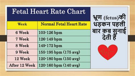 Fetal heart rate at 8 weeks