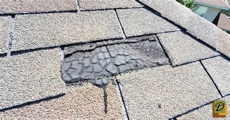 Reasons Asphalt Shingles Fail | Driftwood Builders Roofing