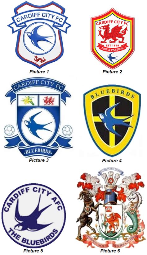 CARDIFF CITY – whatsbehindthebadge