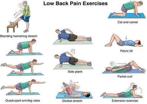 Beat lower back pain with exercise! - Complete Chiropractic - Your local Chelmsford Chiropractor