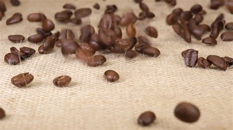 Coffee beans falling at slow motion 15505383 Stock Video at Vecteezy