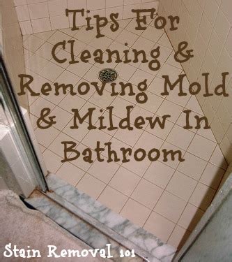 Cleaning And Removing Mold & Mildew In Bathroom