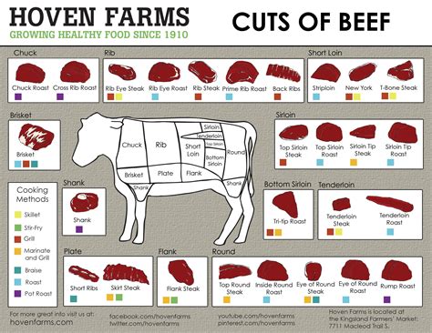 Diagram Cuts Of Meat