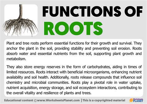 Function of Roots