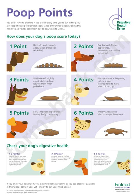 Dog Poop Chart printable pdf download