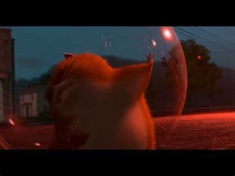 "Destiny?" - Rhino the Hamster (Bolt movie) - YouTube | Hamster, Animals, Dreamworks