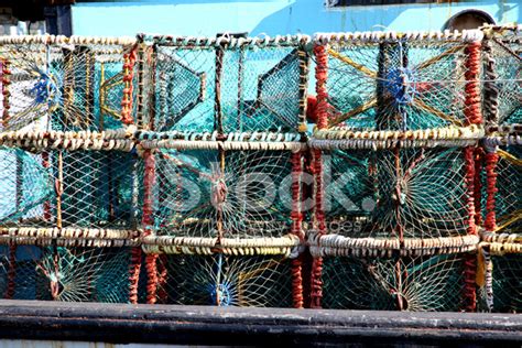 Lobster Traps Stock Photo | Royalty-Free | FreeImages