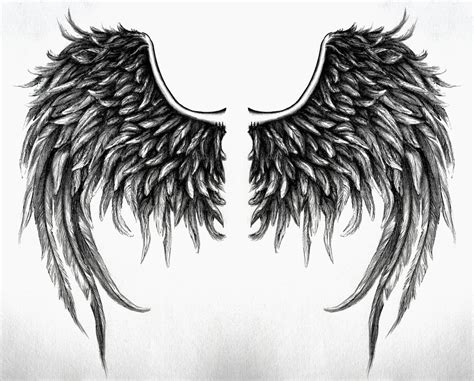 fallen angel wings design No4 by SwarzezTier on DeviantArt