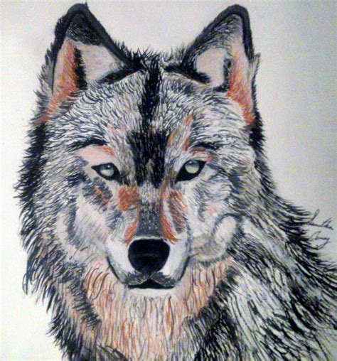 FREE 20+ Wolf Drawings in AI