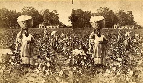 Plantation Slavery - Women & the American Story