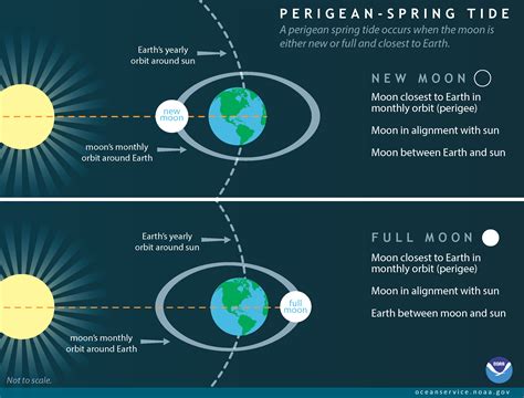 perigeanspringtide - Morro Bay National Estuary Program