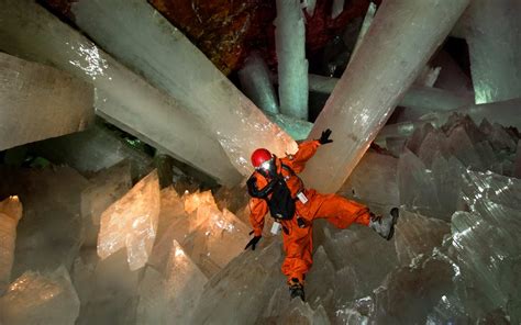 Cave of the Crystals or Giant Crystal Cave | Animal Photo