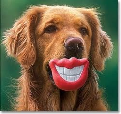 Dog With Lips Funny Photos-Images 2012 | Funny And Cute Animals