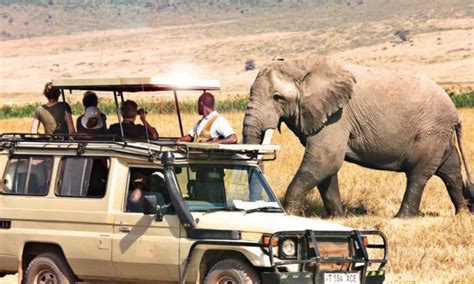 13 Days Tanzania wildlife safari and Cultural tour | Tanzania Safari