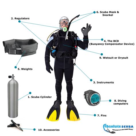 Scuba diving equipment | Scuba diving equipment, Diving equipment, Diving