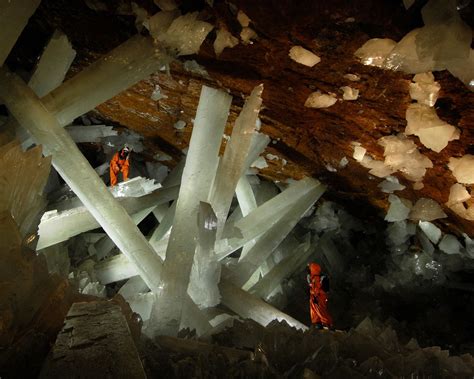 Cave of the Crystals or Giant Crystal Cave | Animal Photo