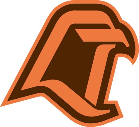 Bowling Green Falcons Logo - Secondary Logo - NCAA Division I (a-c) (NCAA a-c) - Chris Creamer's ...