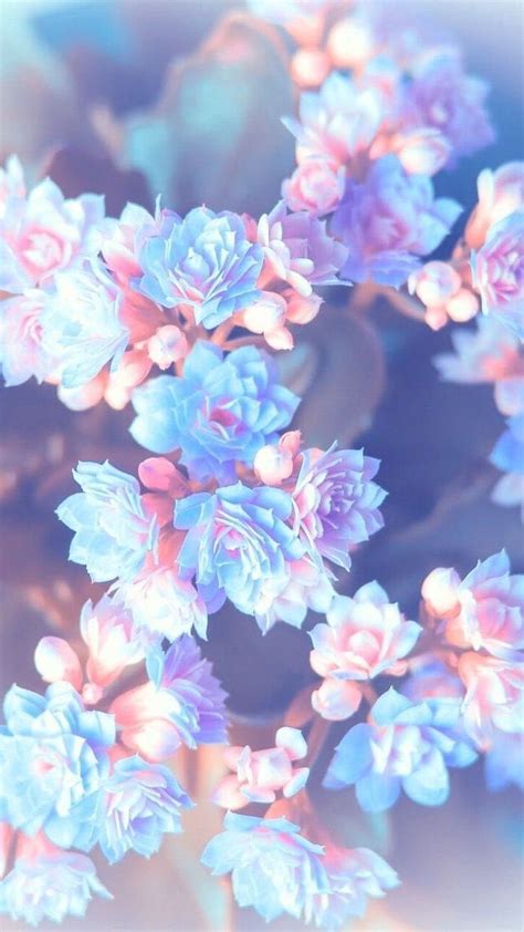 √ Blue Floral Background Tumblr