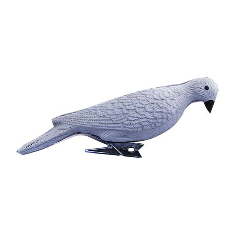 Dove Decoys for Hunting, Dove Decoys Full Body Plastic Dove Decoy for ...