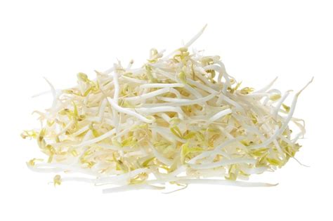 Premium Photo | Bean sprouts