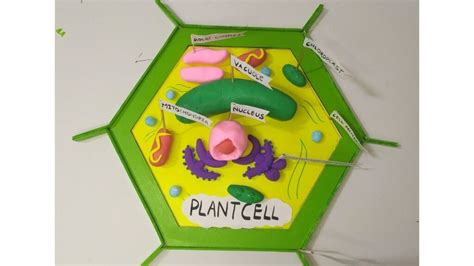 25 Creative Plant Cell Project Ideas - Theresa Reviews