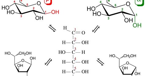 Cyclic structure of glucose | eHow UK