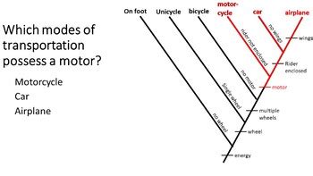 How to Build a Cladogram PowerPoint Tutorial (free handout included)