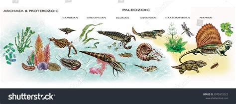 237 Proterozoic Images, Stock Photos & Vectors | Shutterstock