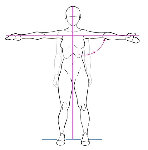 Dincolo Grava Mult noroc human body anatomy drawing Psihologic ...