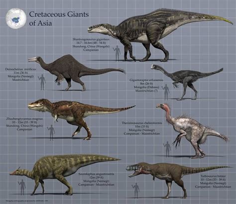 Excepto Z. magnus y S. giganteus, las demás bestias proceden del espectacular sitio fósil de la ...